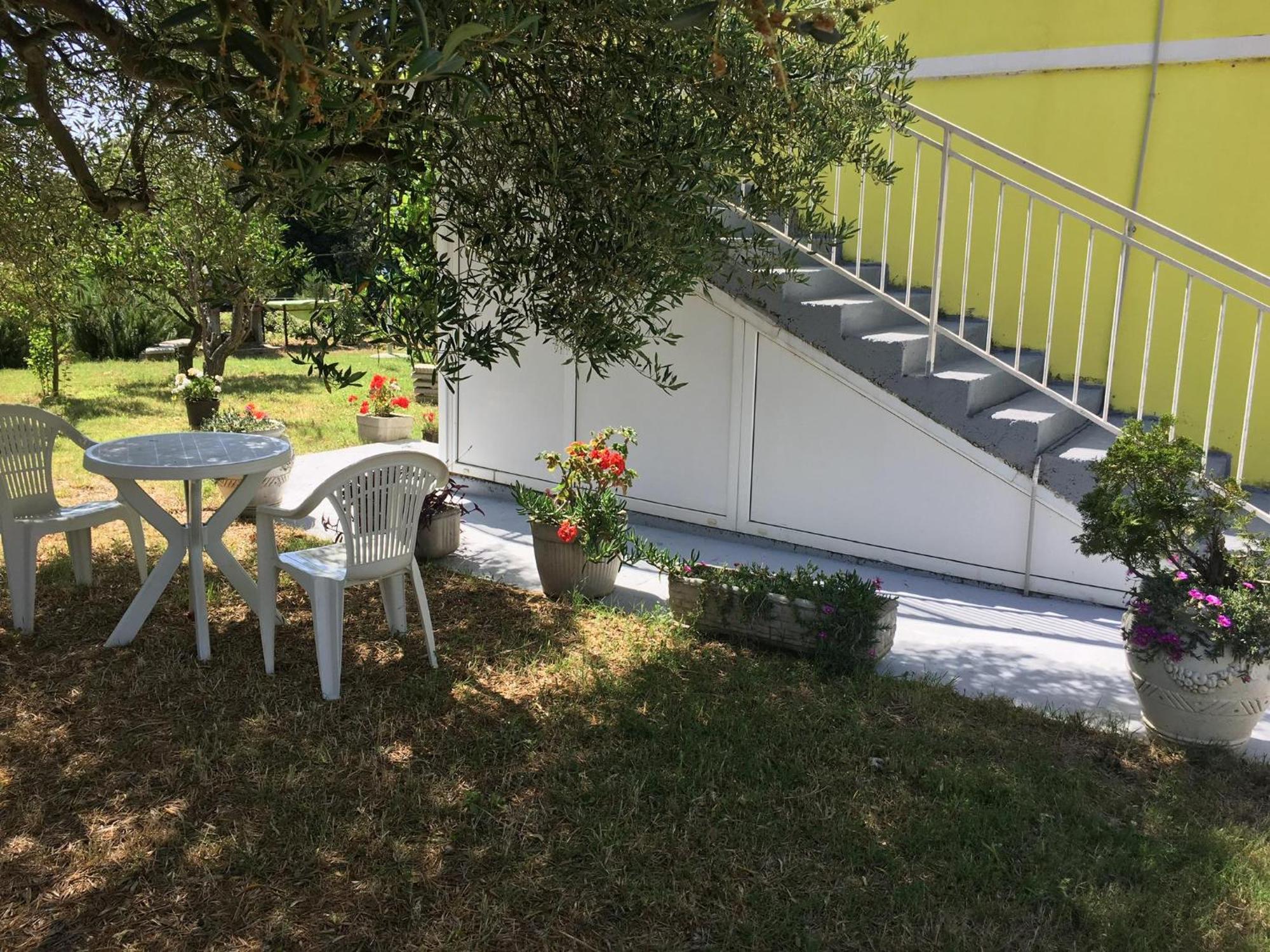 Apartments Monika Bibinje Exterior foto